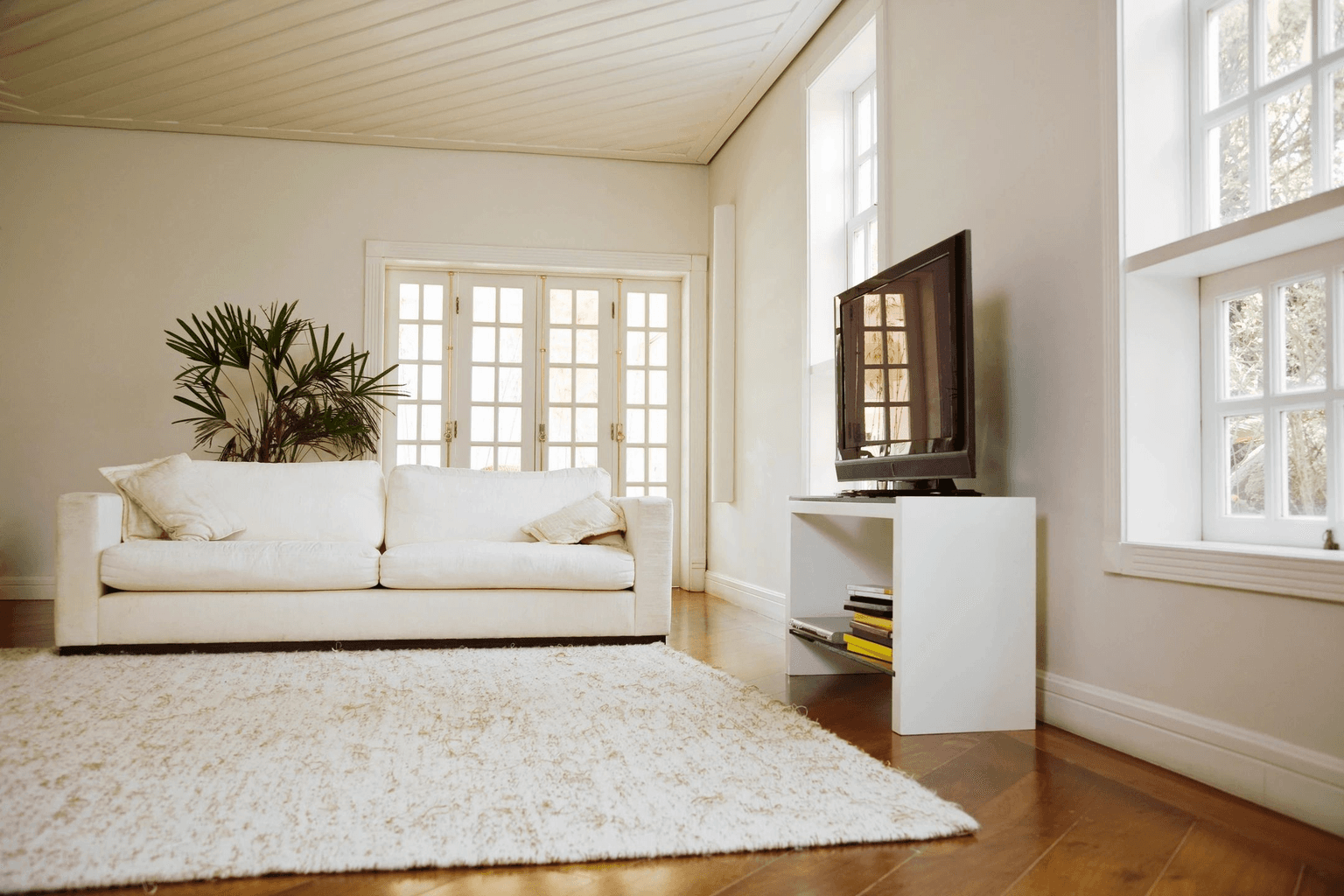 Carpet cleaning in Denton, TX
