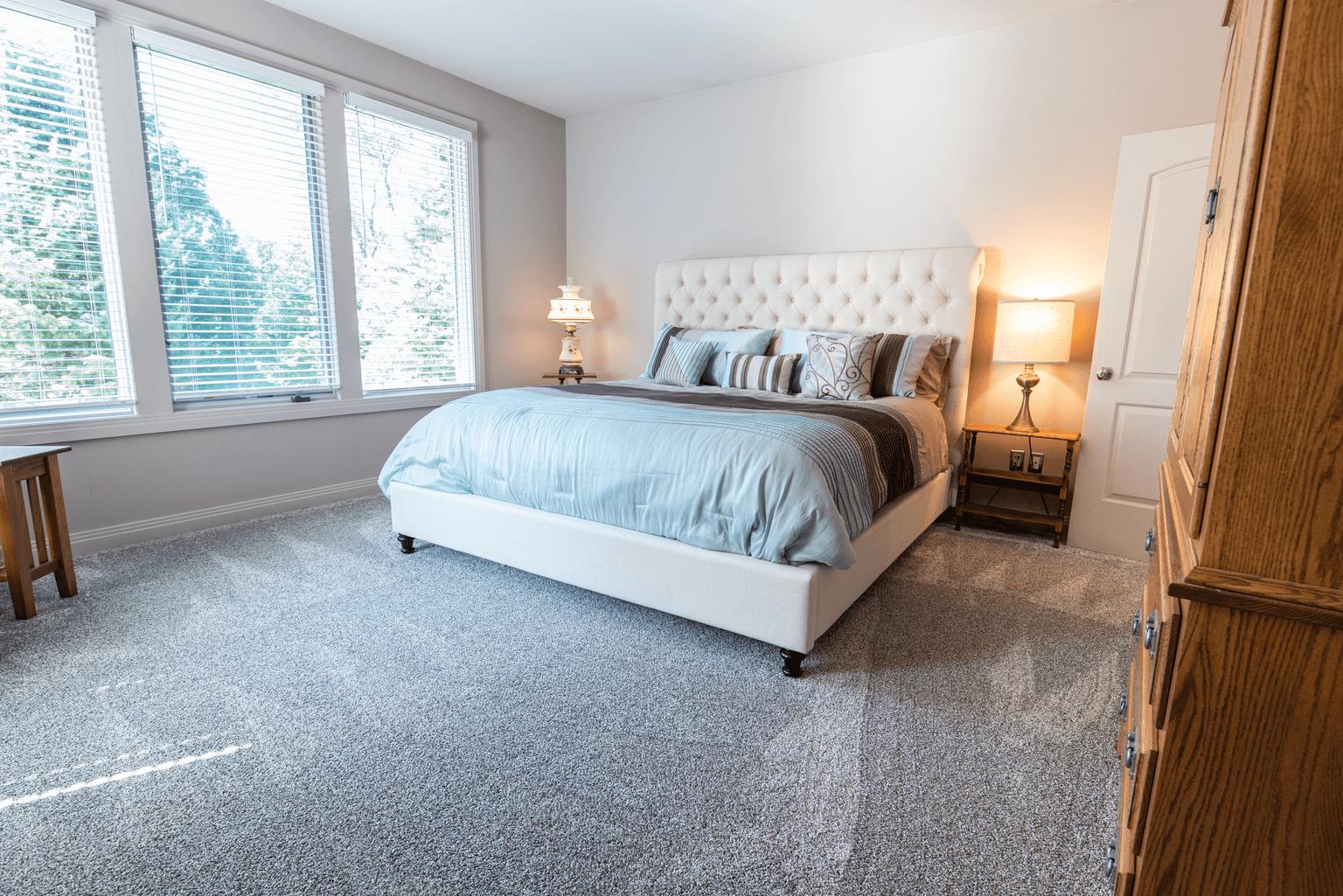 Carpet cleaning in Red Oak, TX