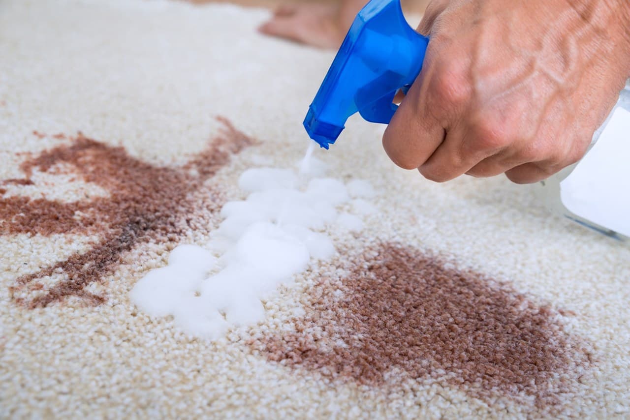 How to Get Coffee and Red Wine Stains Out of Carpet