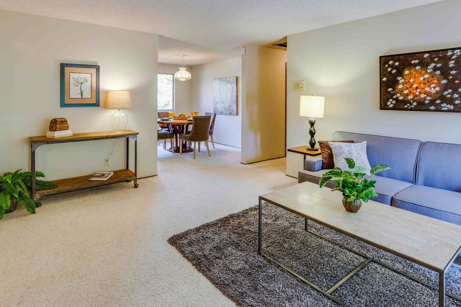 Carpet Cleaning in Dallas, TX